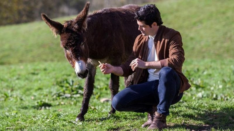 decorado_en _otro_lugar