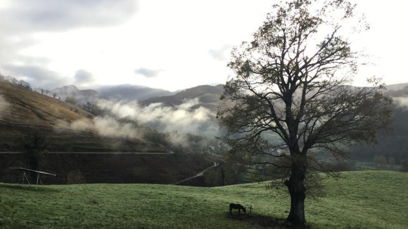 decorado_en _otro_lugar